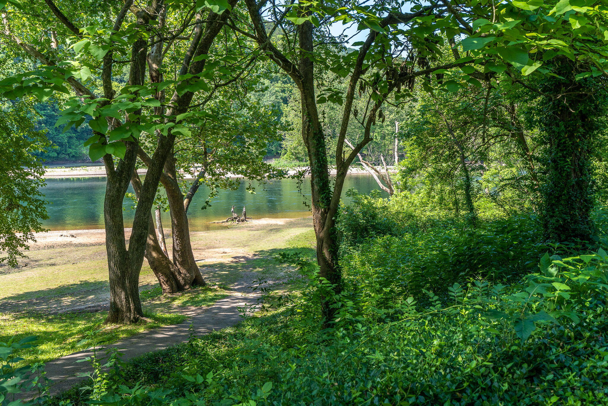 main property photo 30