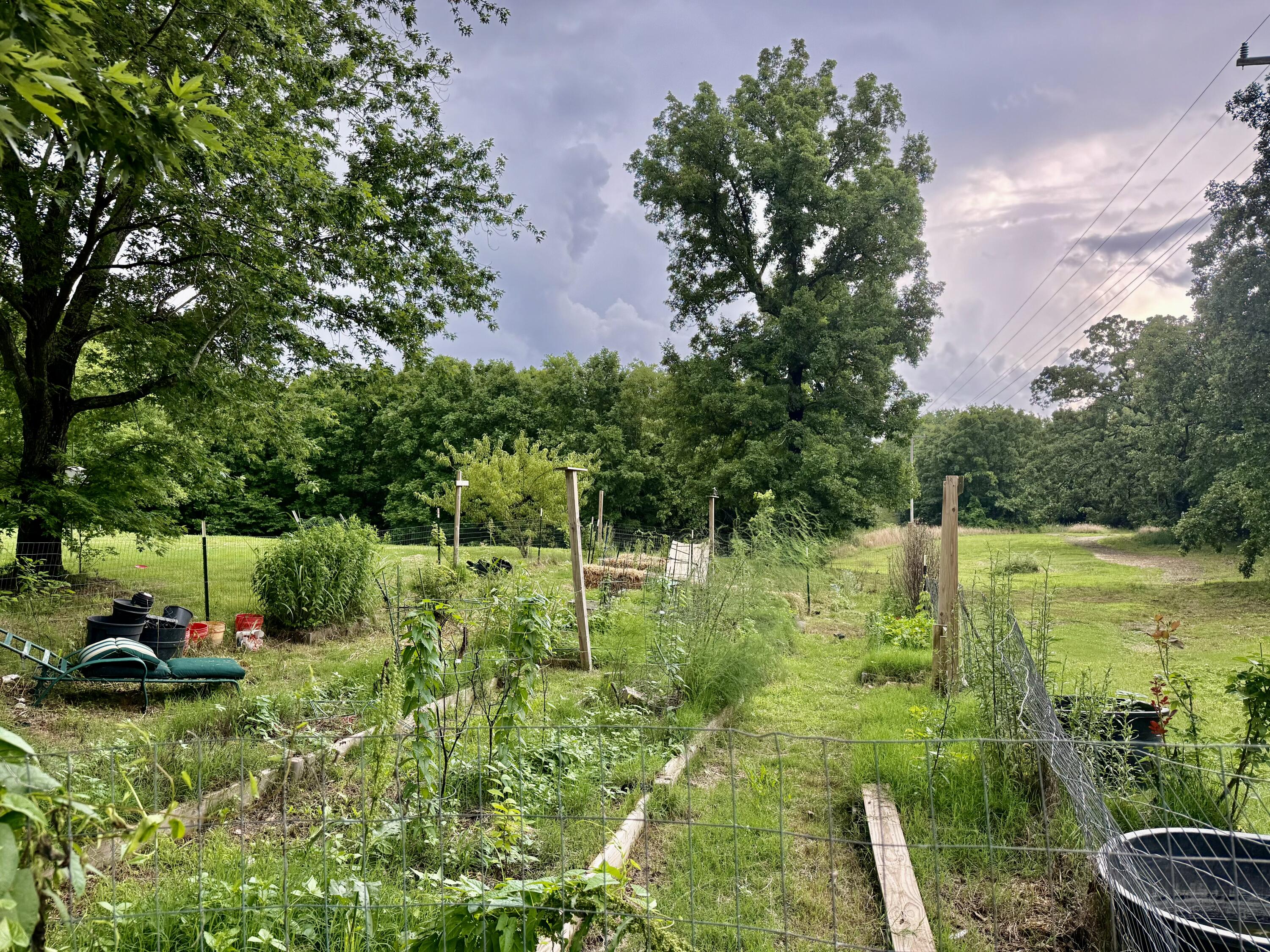 main property photo 32