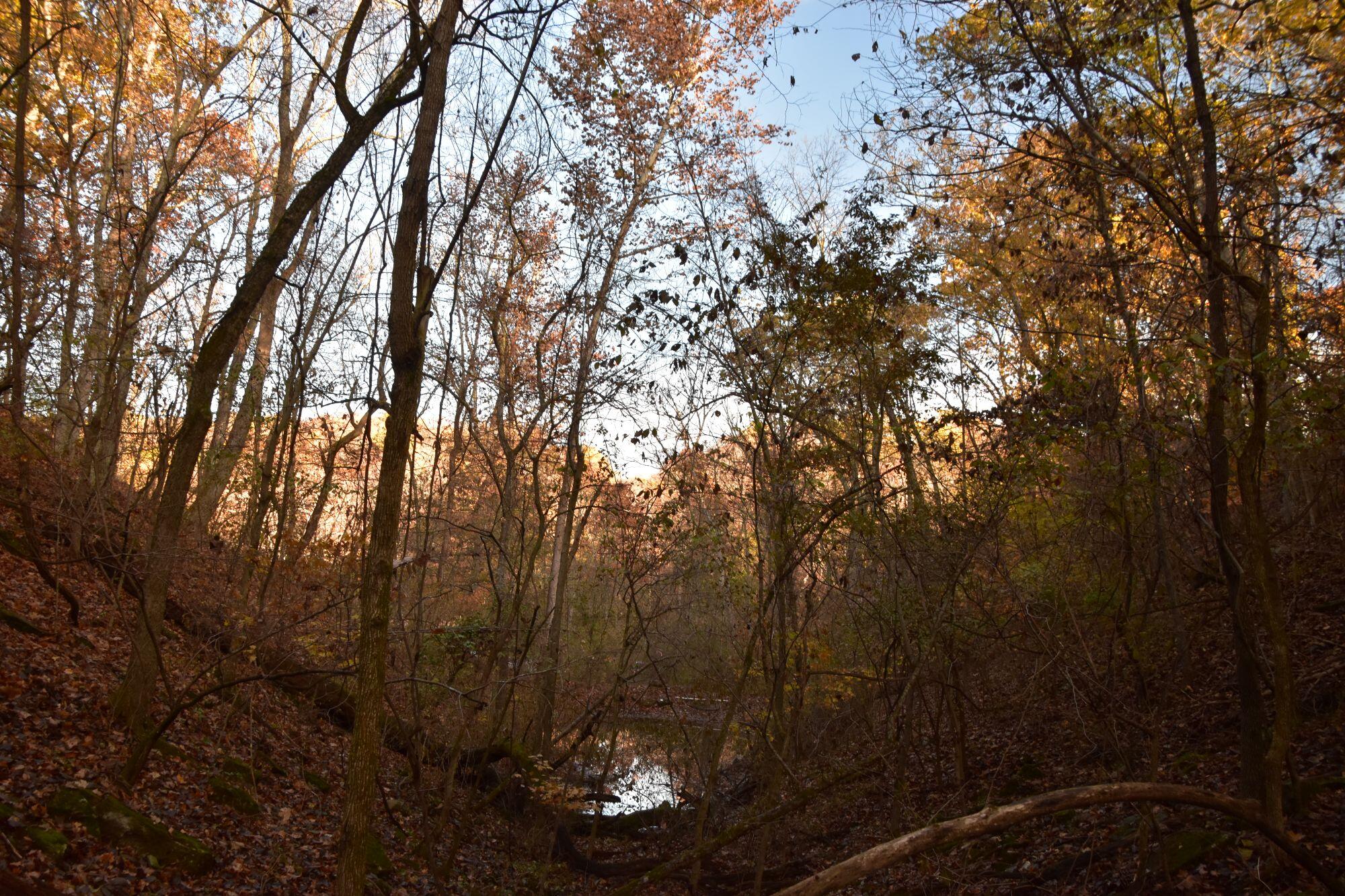 main property photo 53