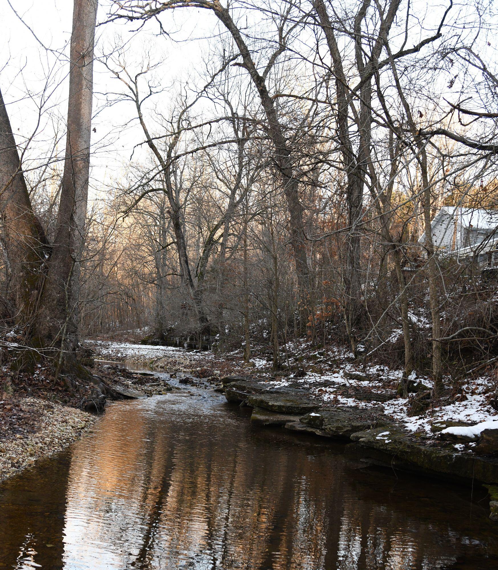 main property photo 57