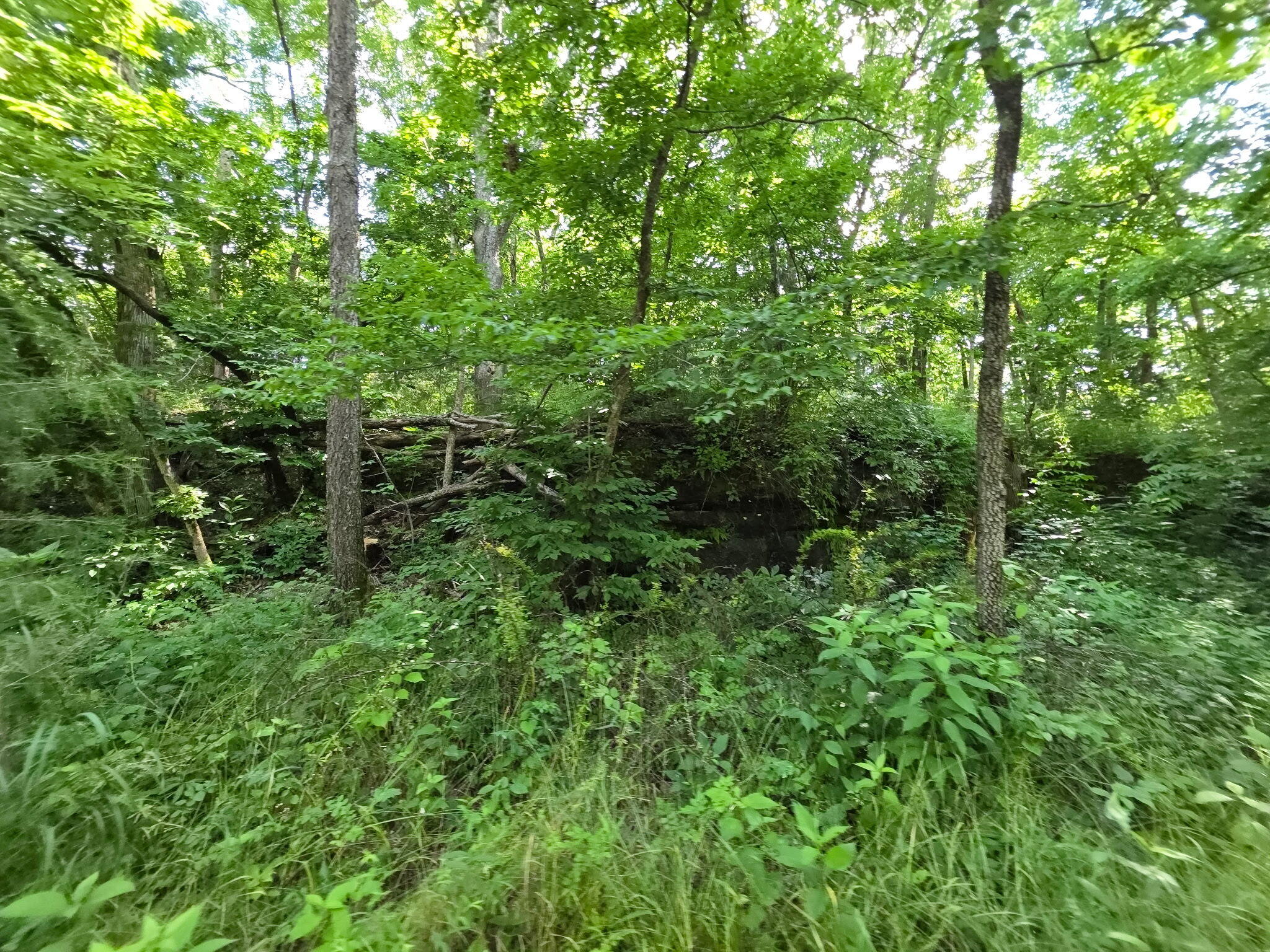 main property photo 20