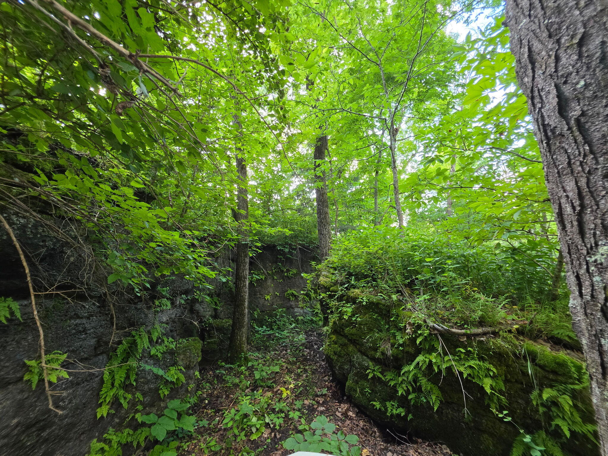 main property photo 21