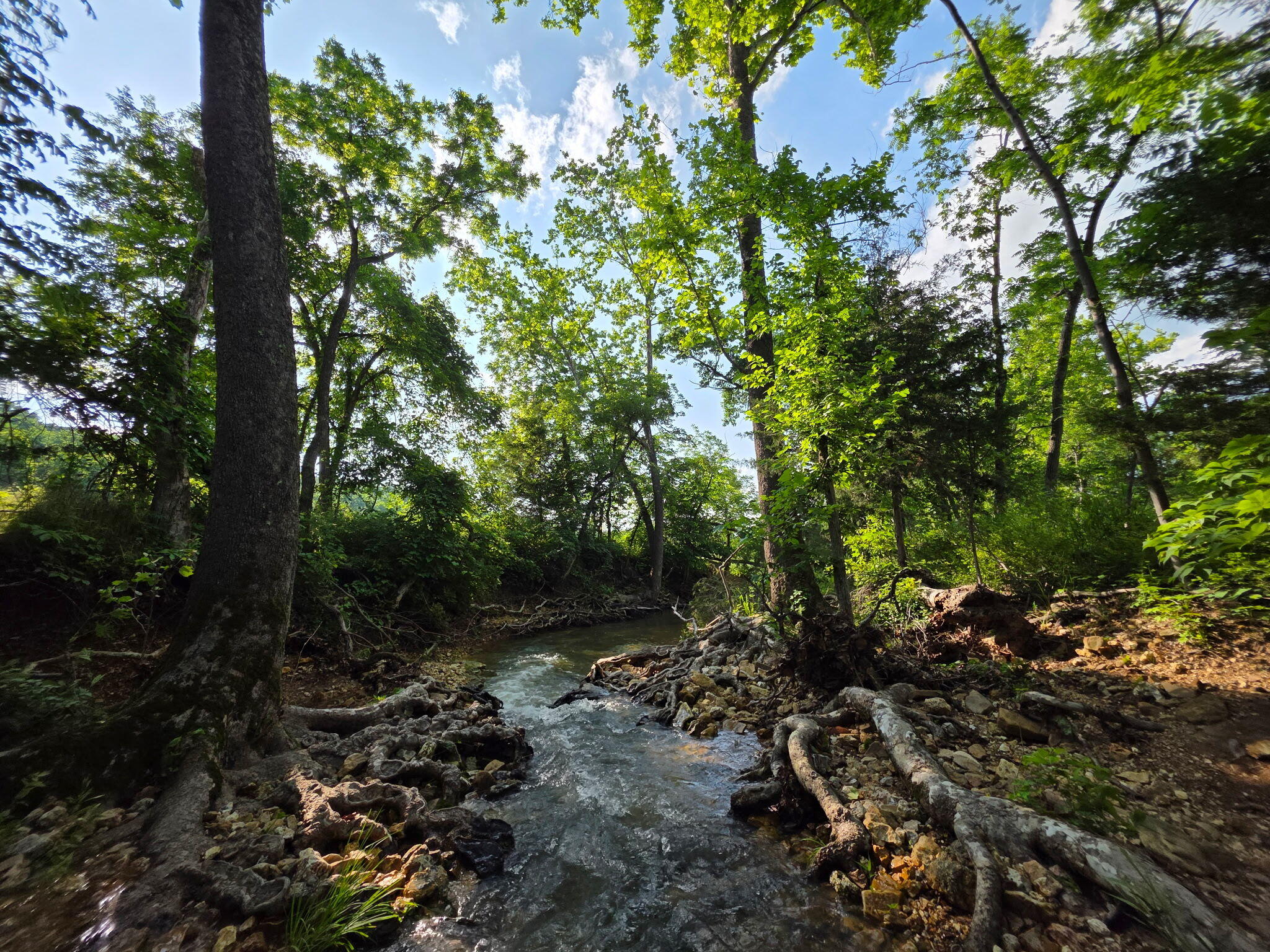 main property photo 37