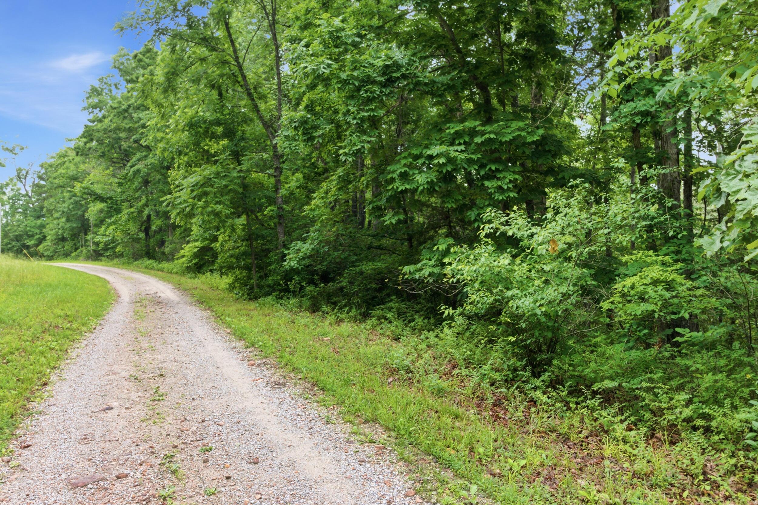main property photo 40