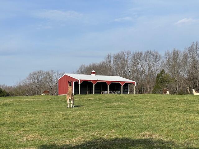 main property photo 36