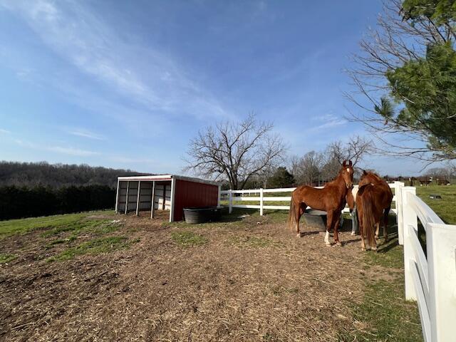 main property photo 38