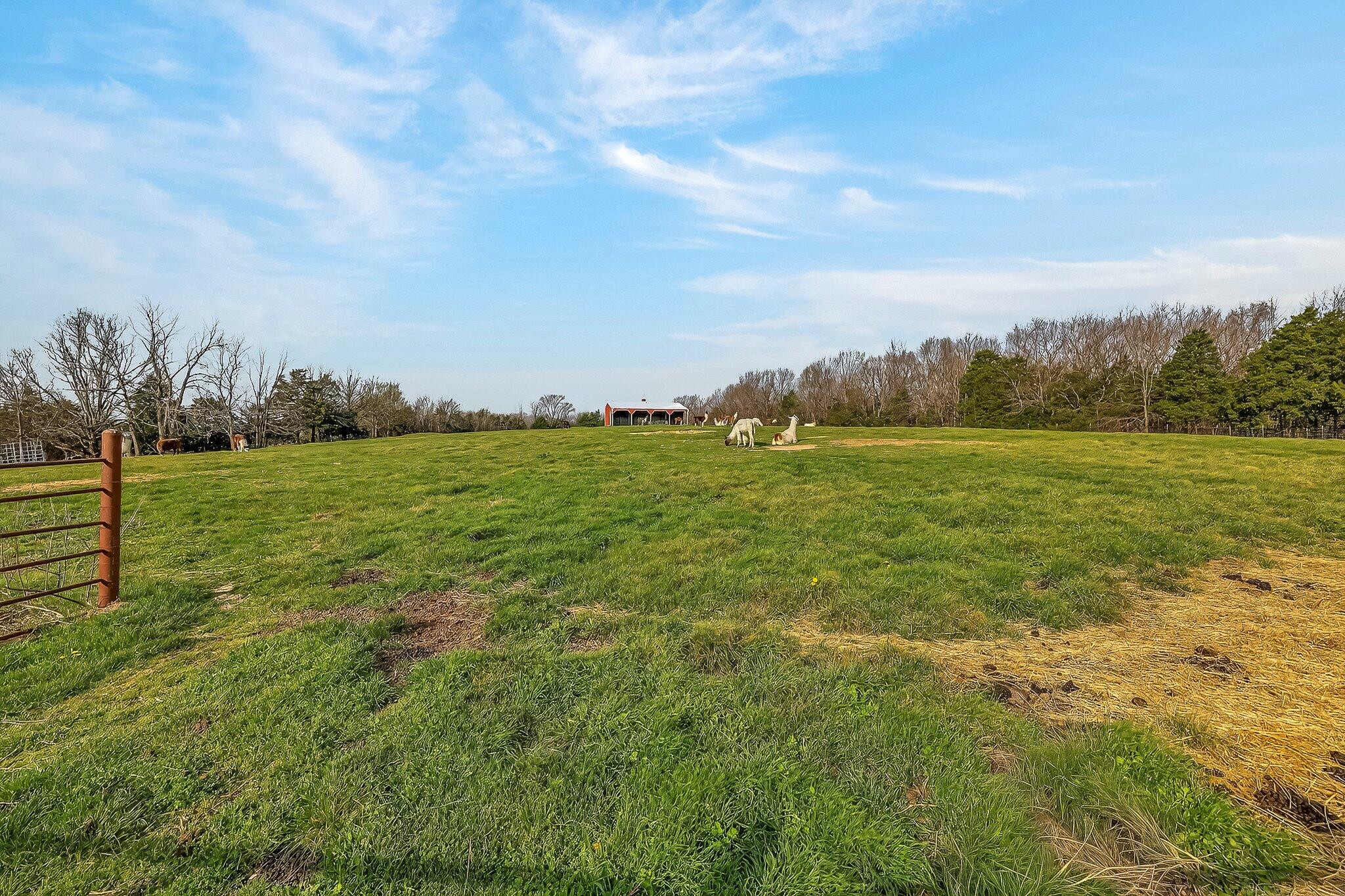 main property photo 40