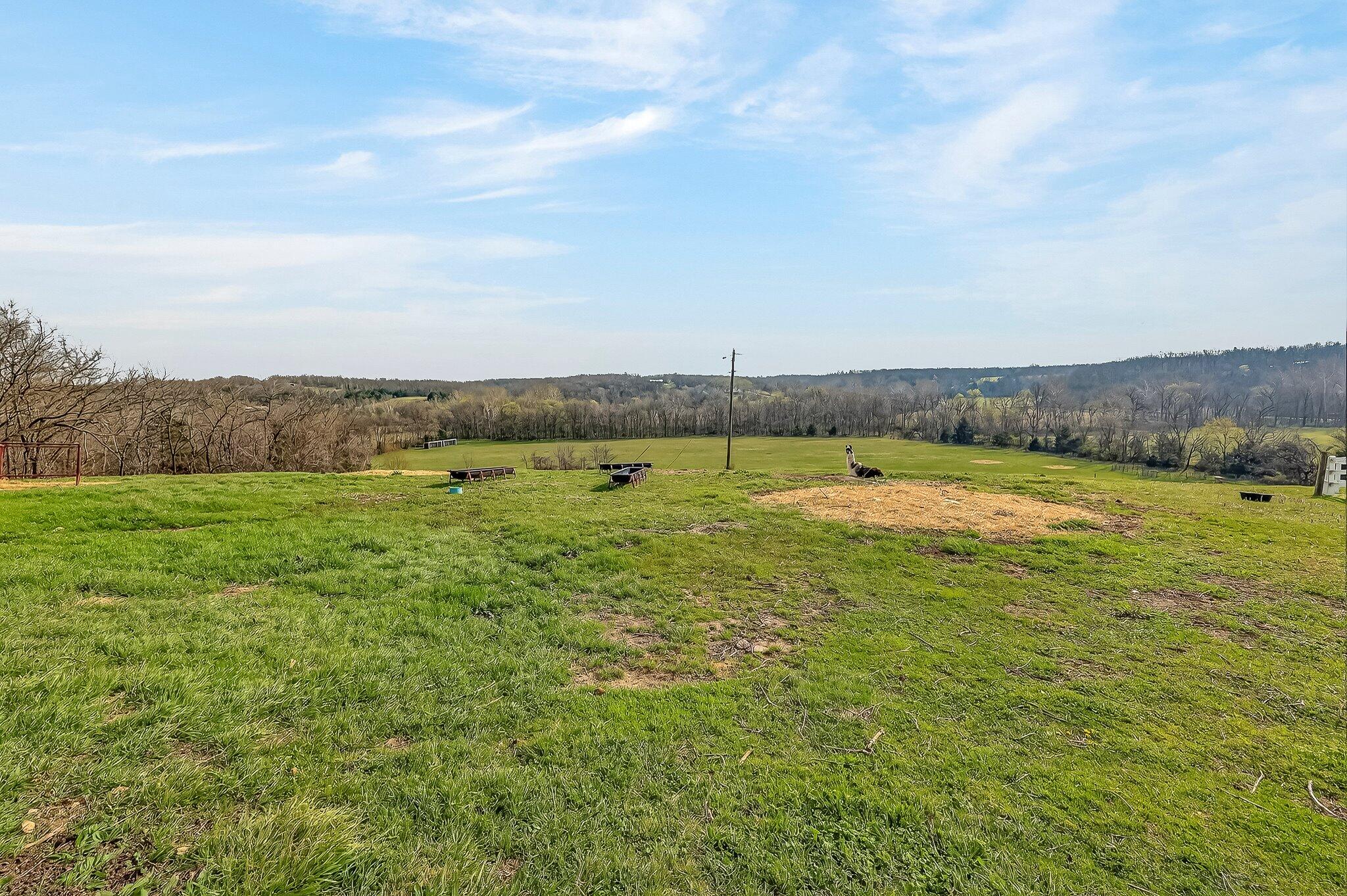 main property photo 41