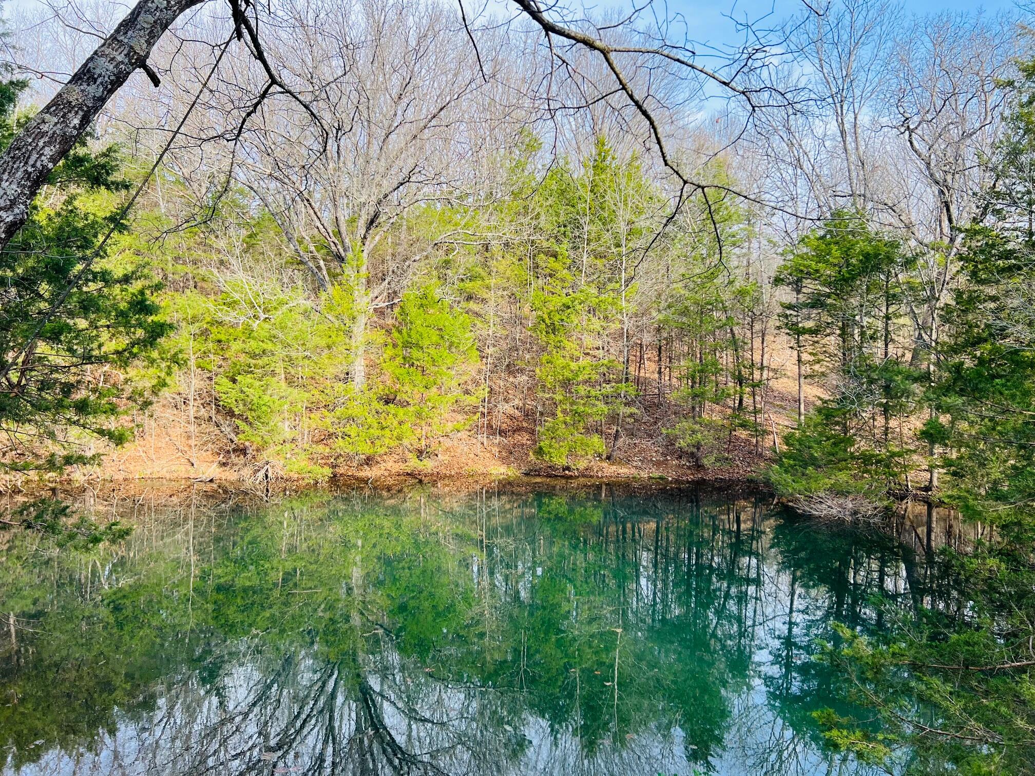 main property photo 6