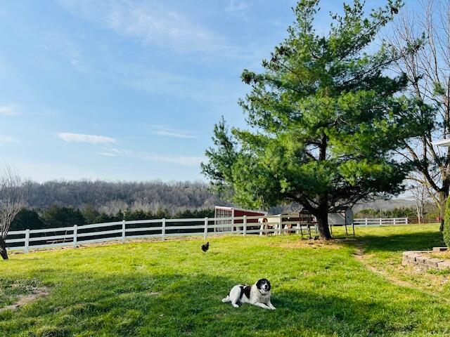 main property photo 39