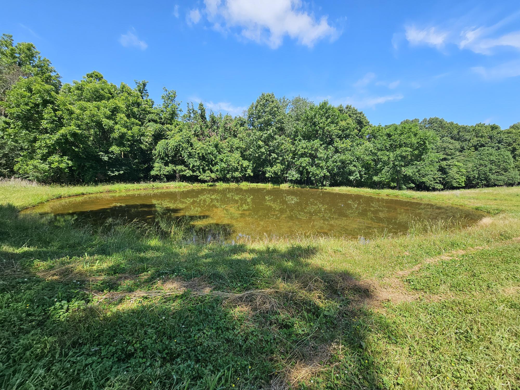 main property photo 13