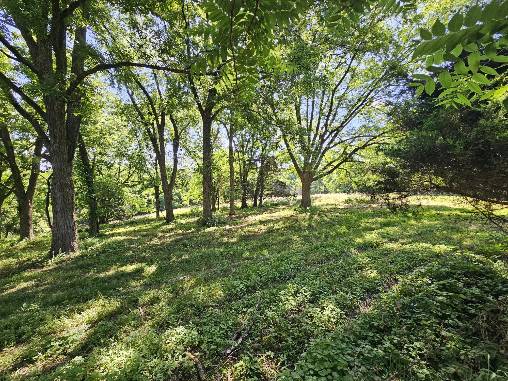 main property photo 18