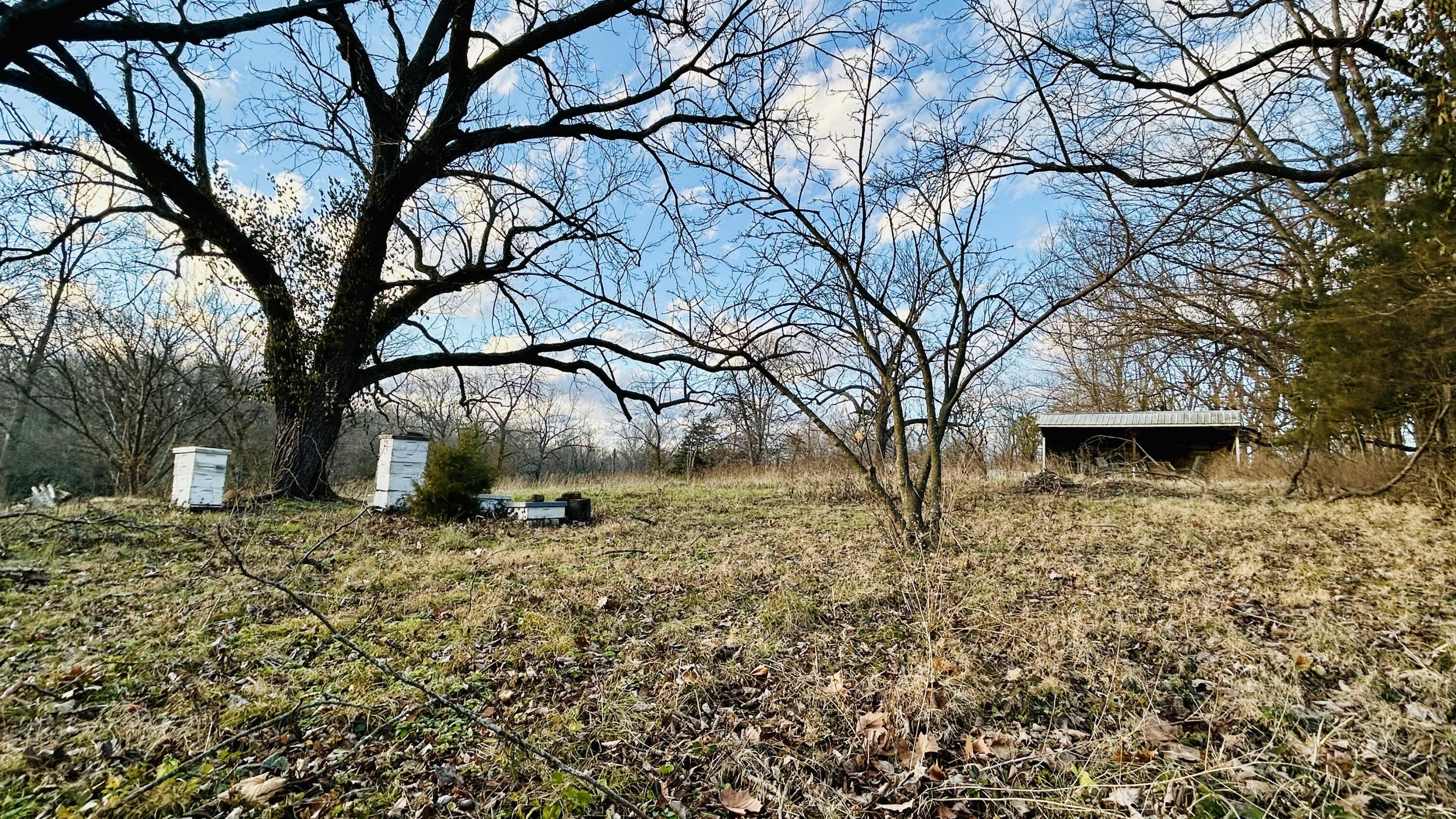 main property photo 9