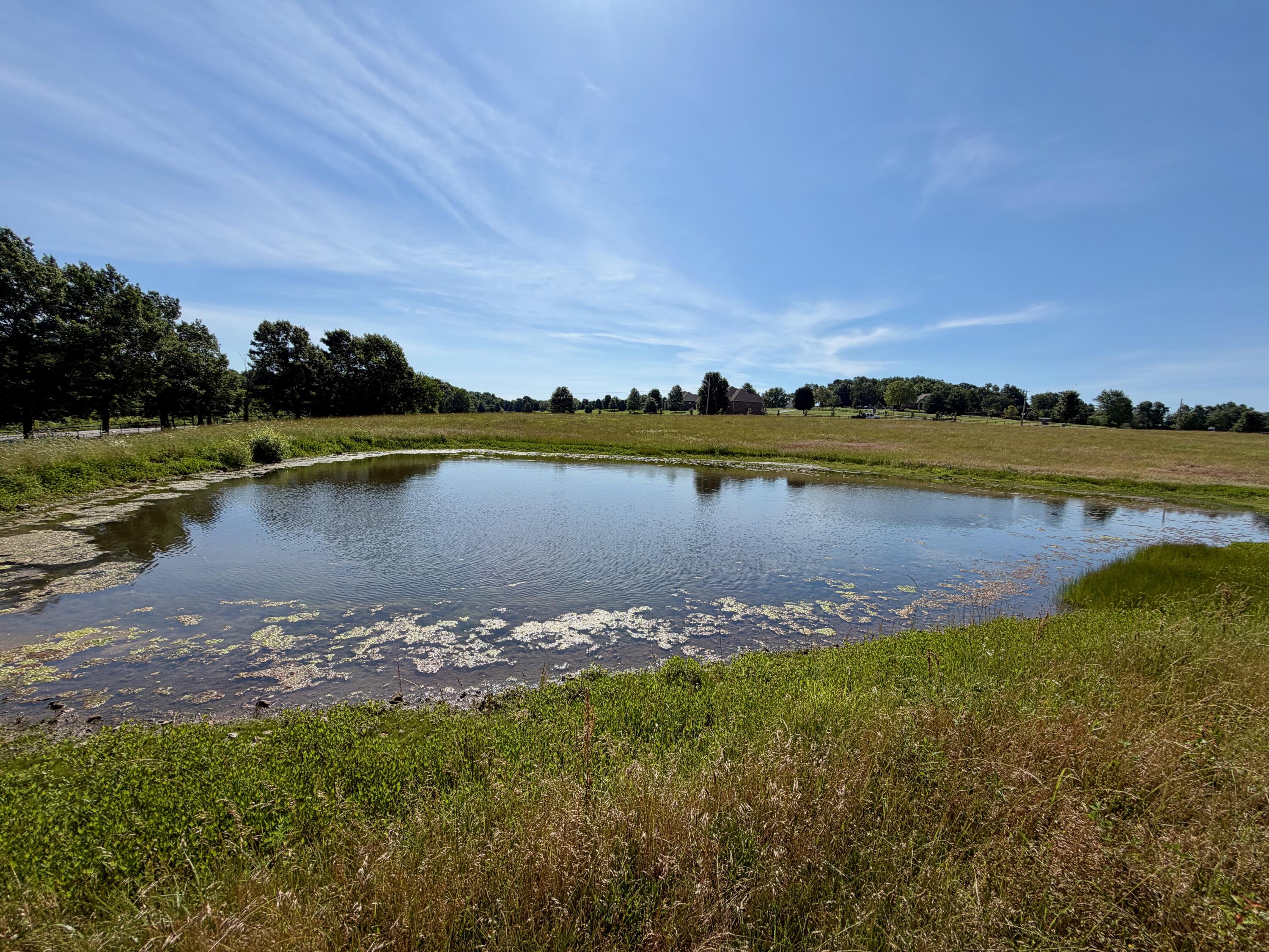 main property photo 109