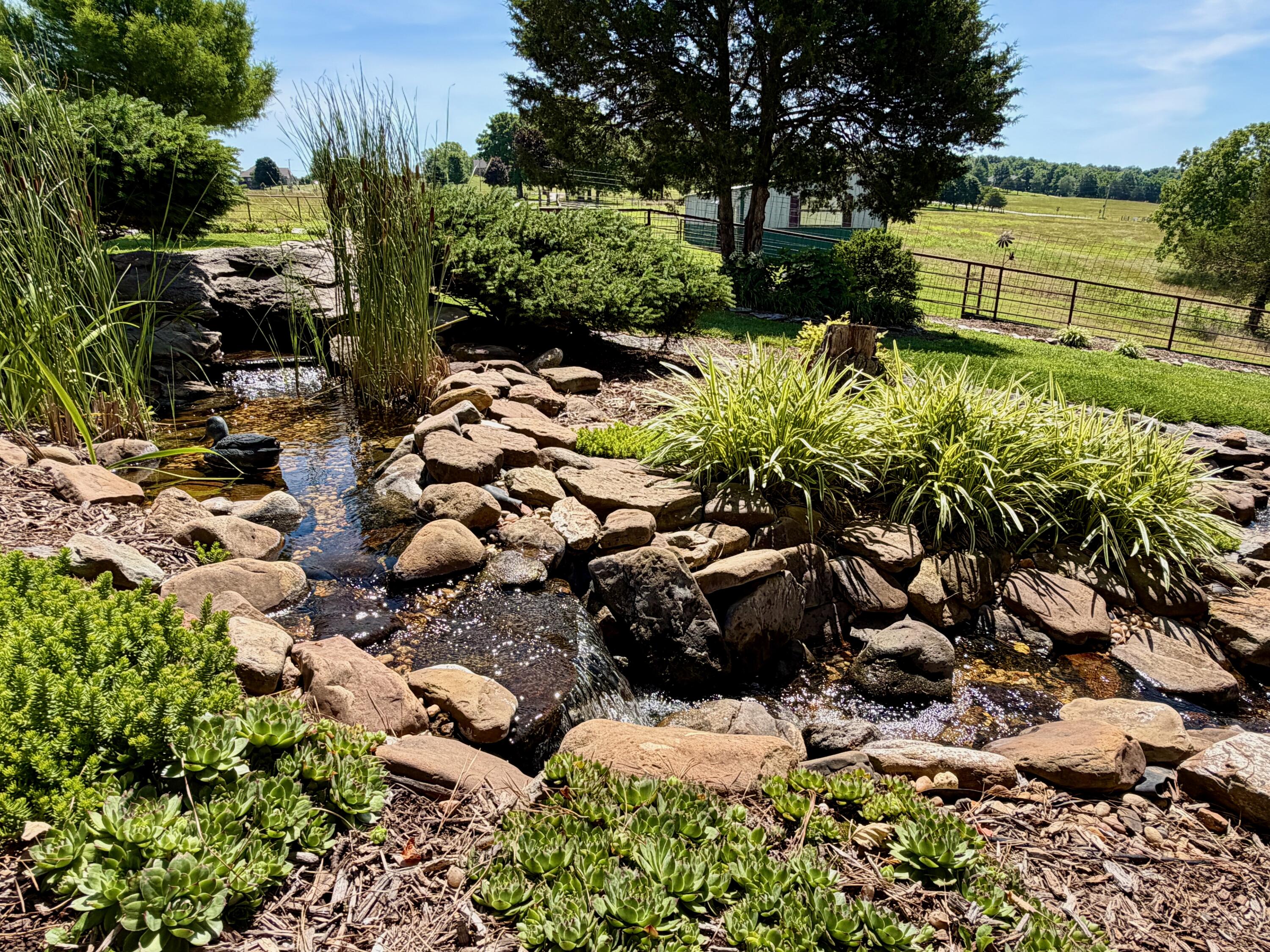 main property photo 55