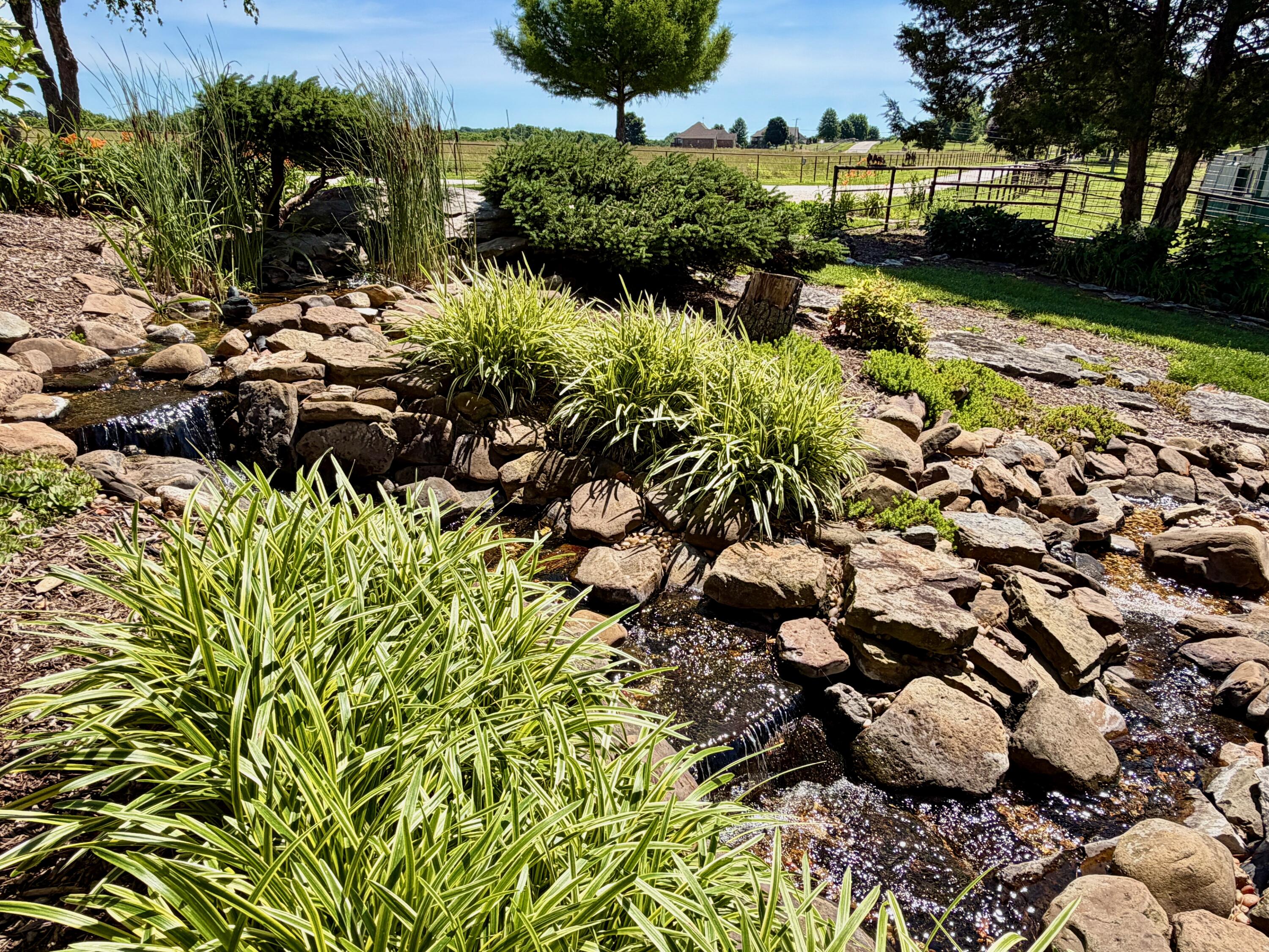 main property photo 56
