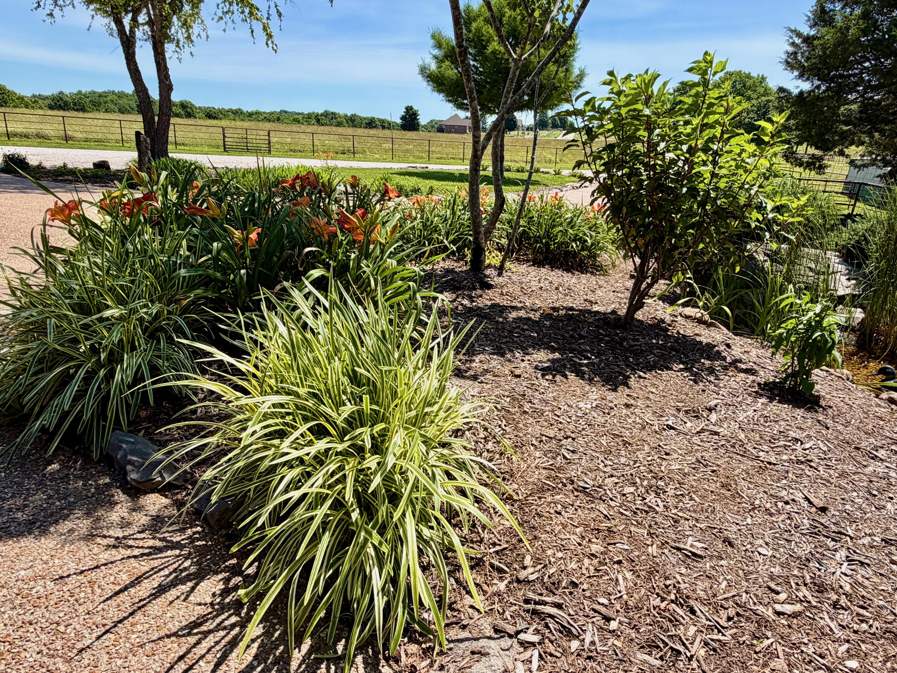 main property photo 95