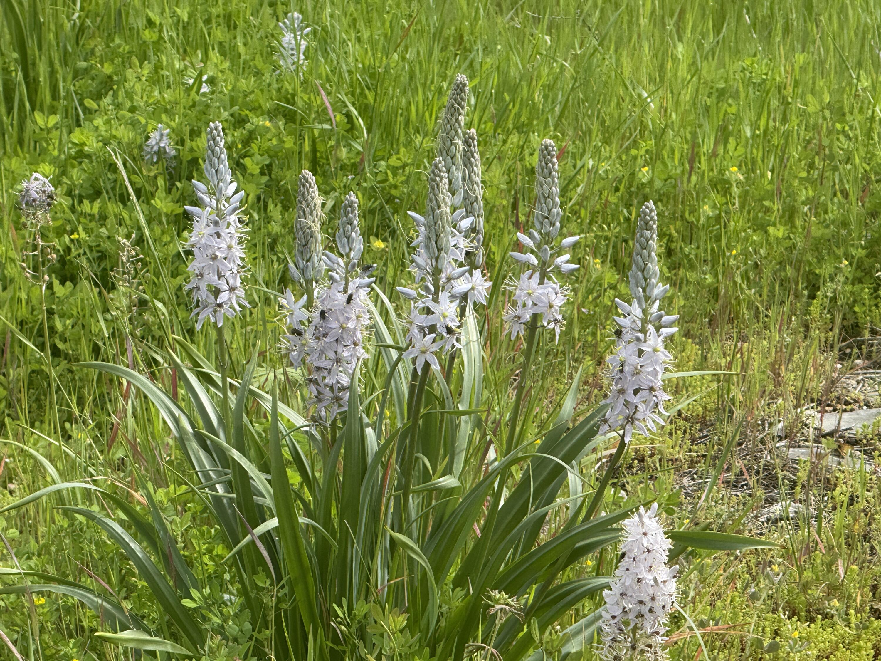 main property photo 97