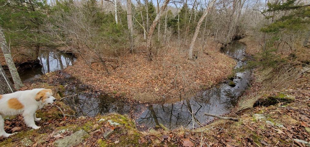 main property photo 9