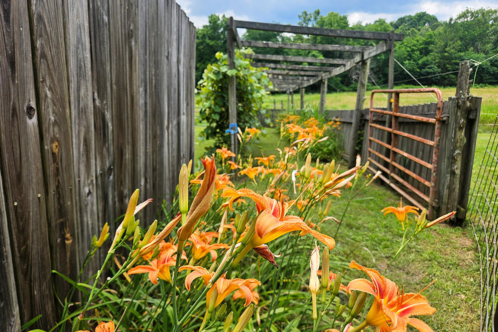 main property photo 57