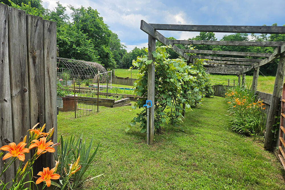main property photo 58