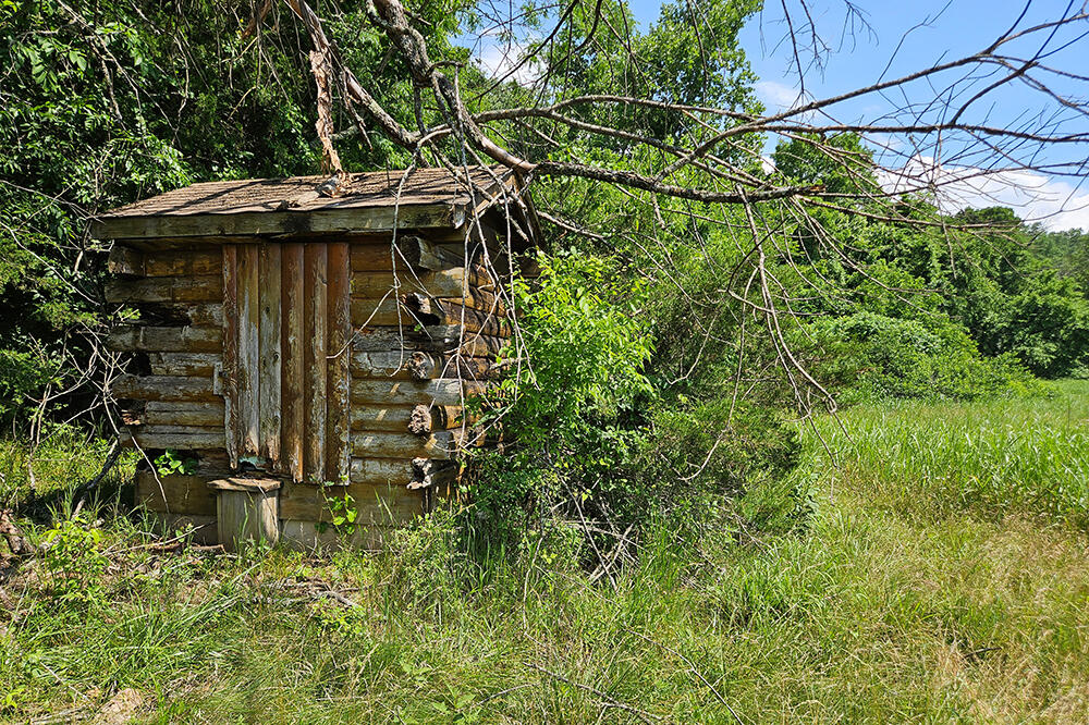 main property photo 96