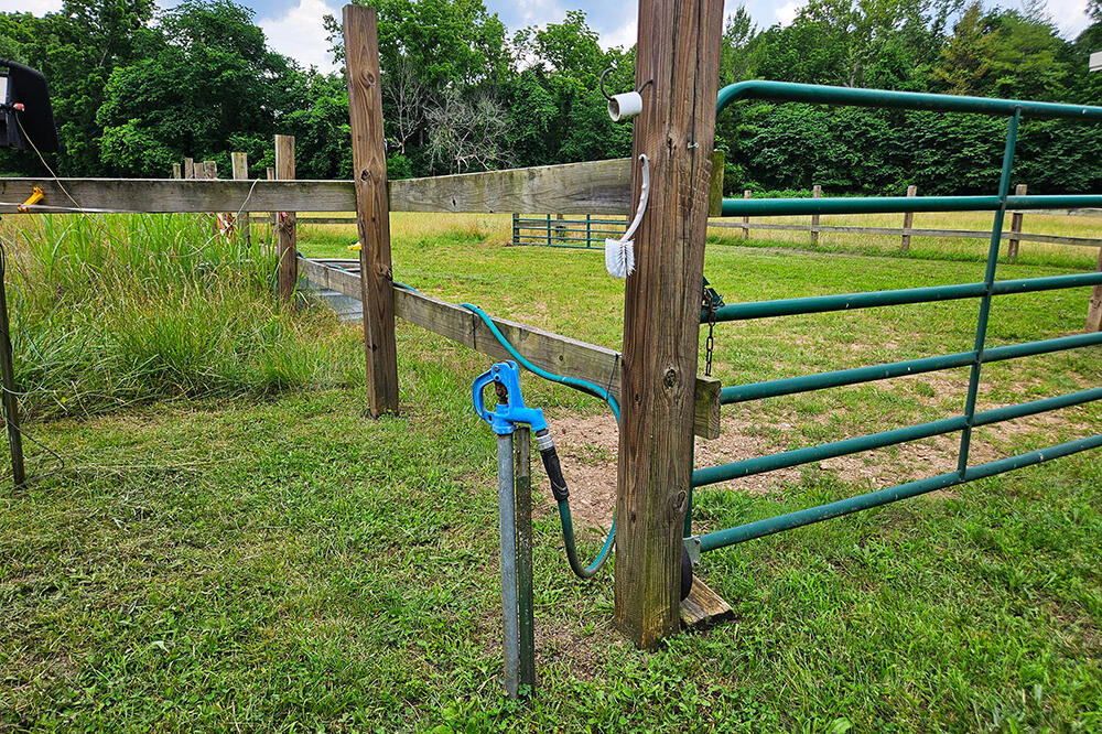 main property photo 67