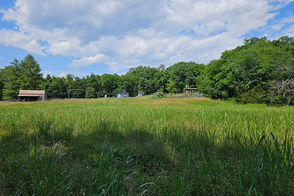 main property photo 93