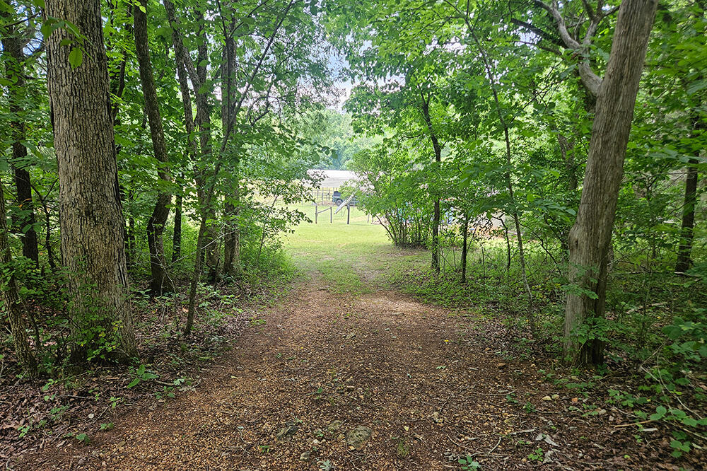 main property photo 94