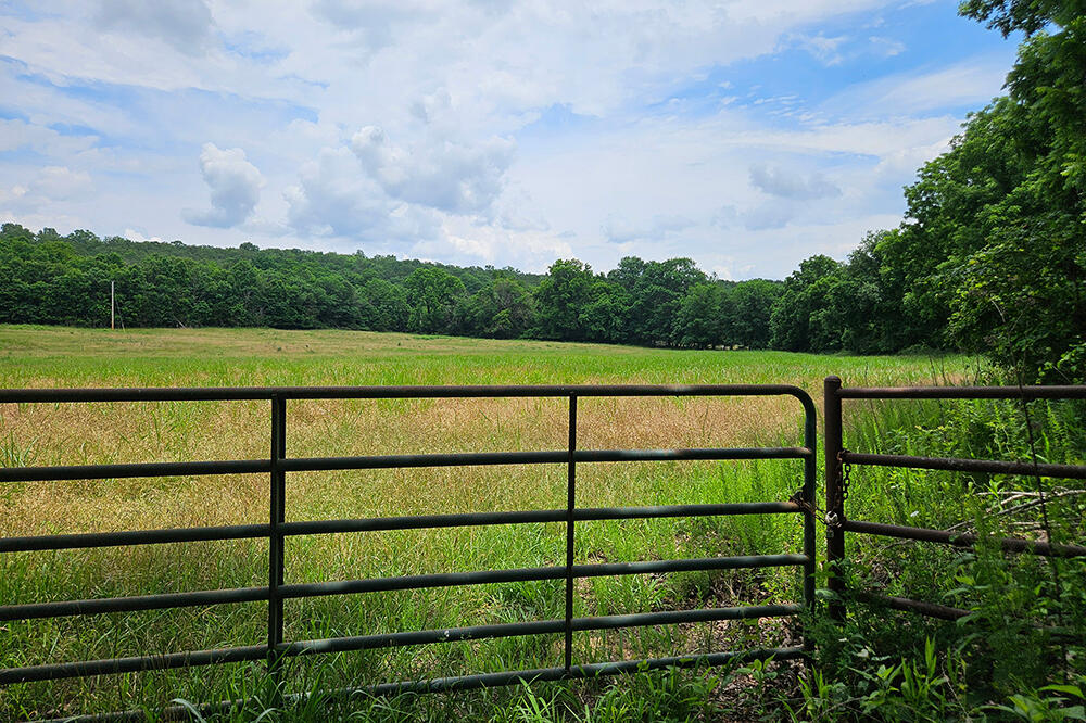 main property photo 97