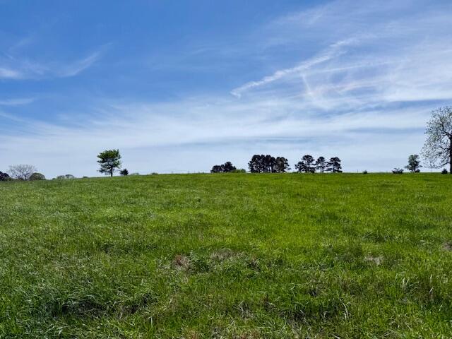 main property photo 74
