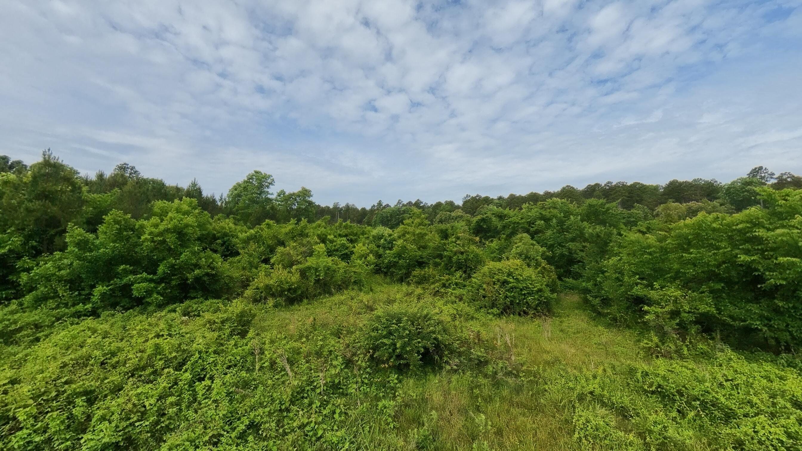 main property photo 47