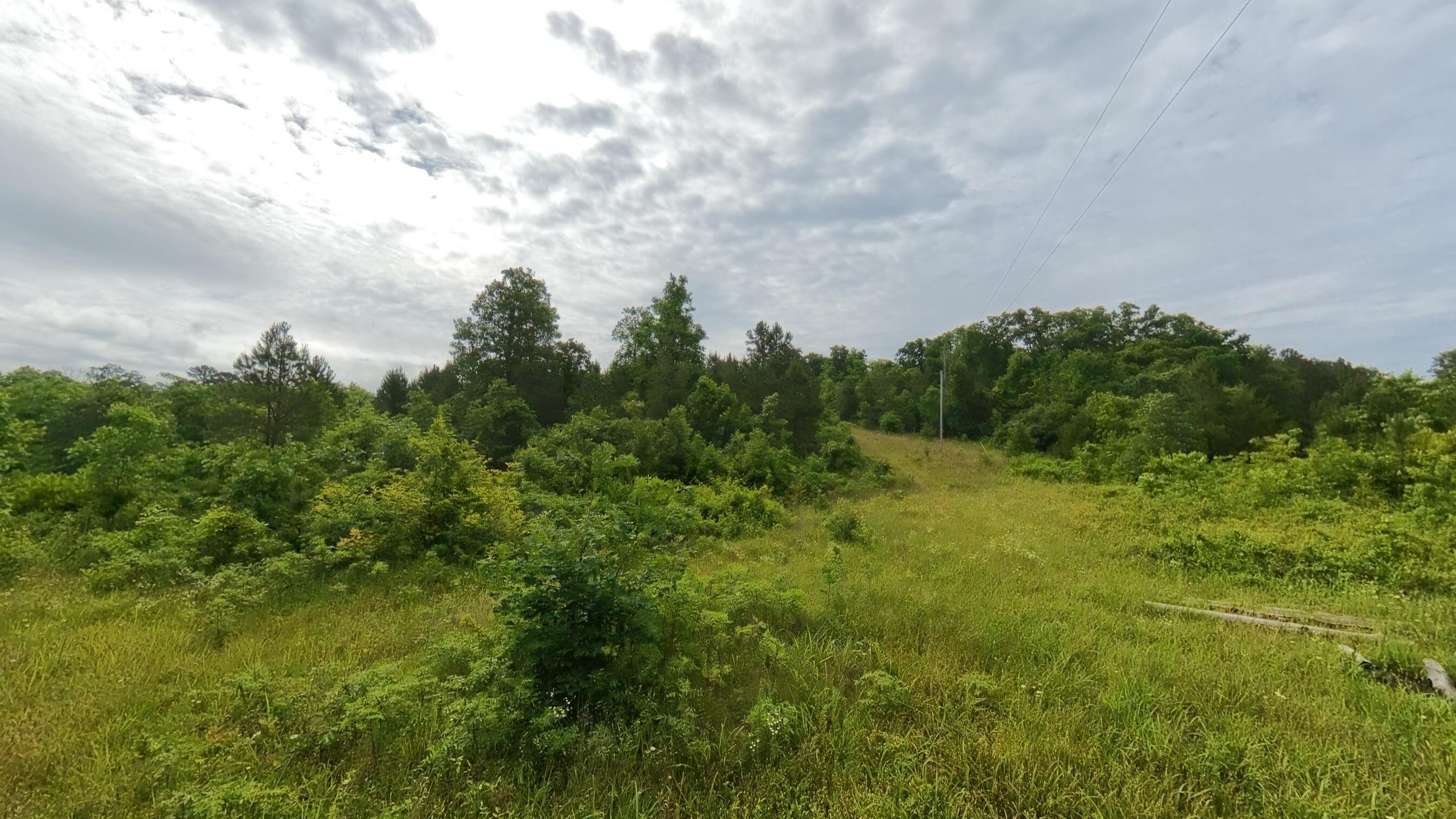 main property photo 50