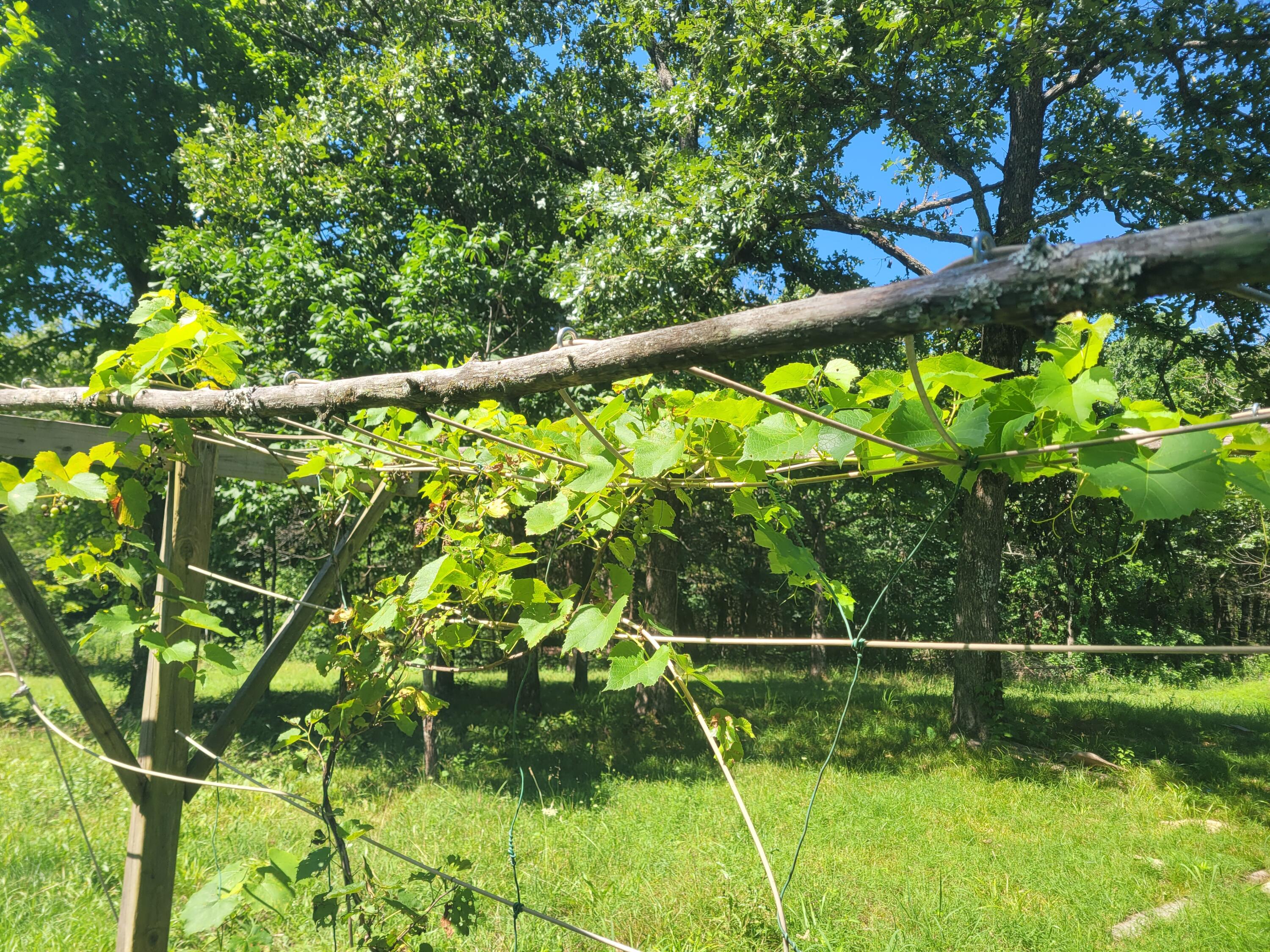 main property photo 26