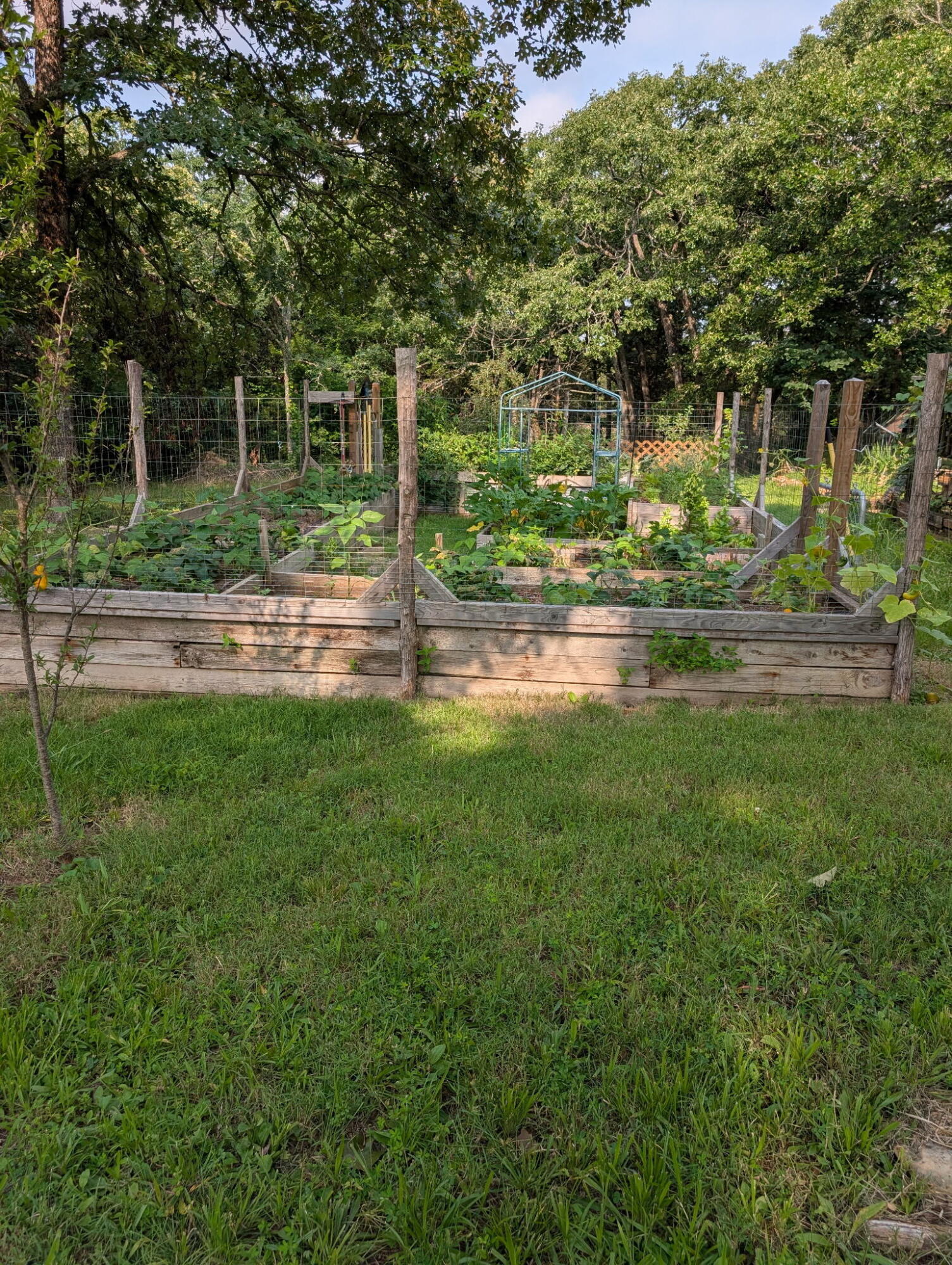 main property photo 4