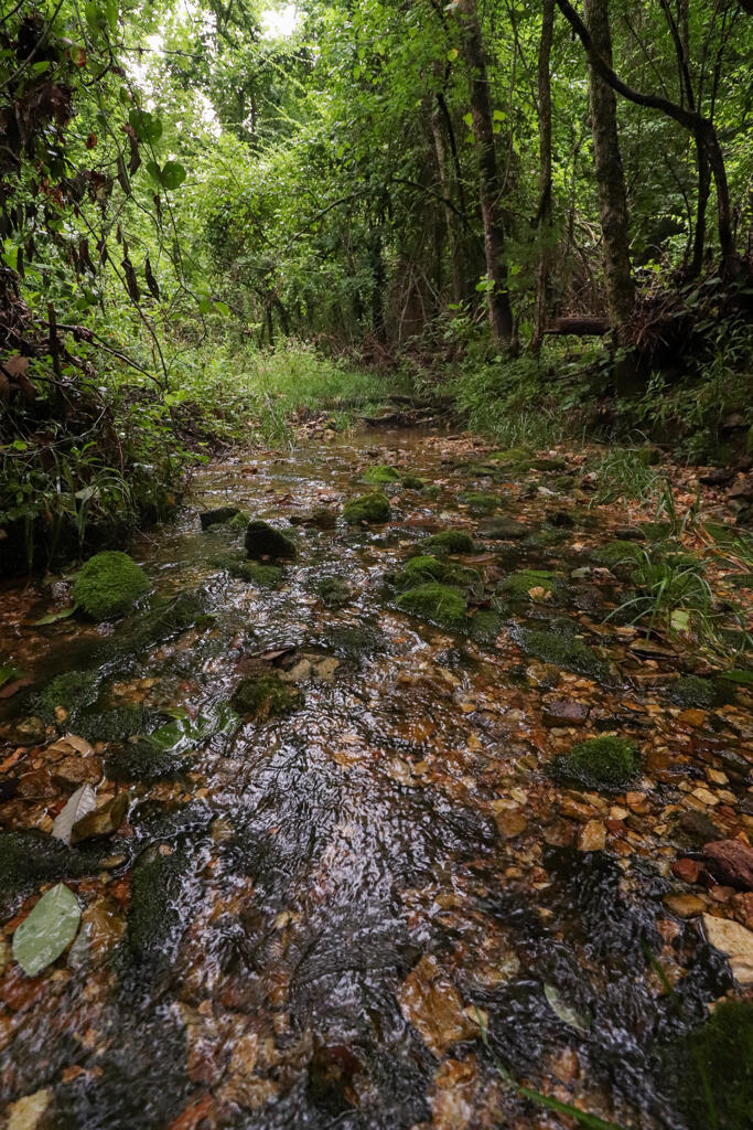 main property photo 77