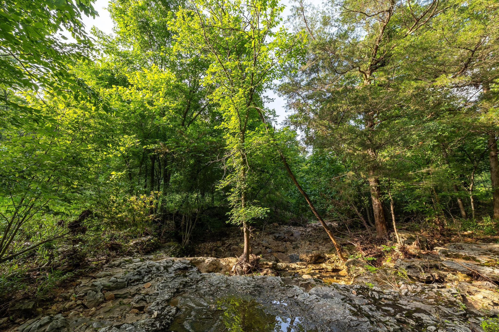 main property photo 85