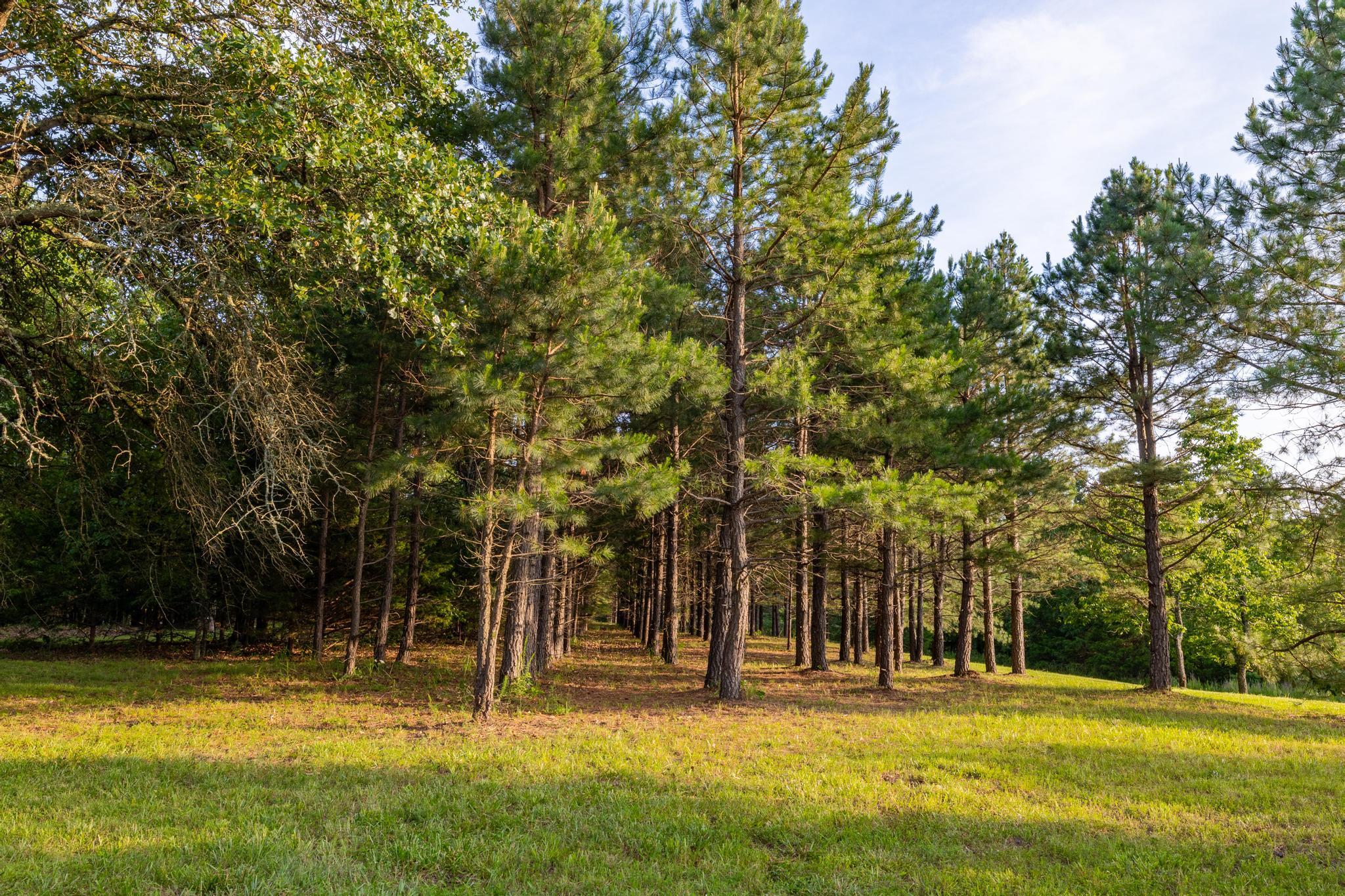 main property photo 93
