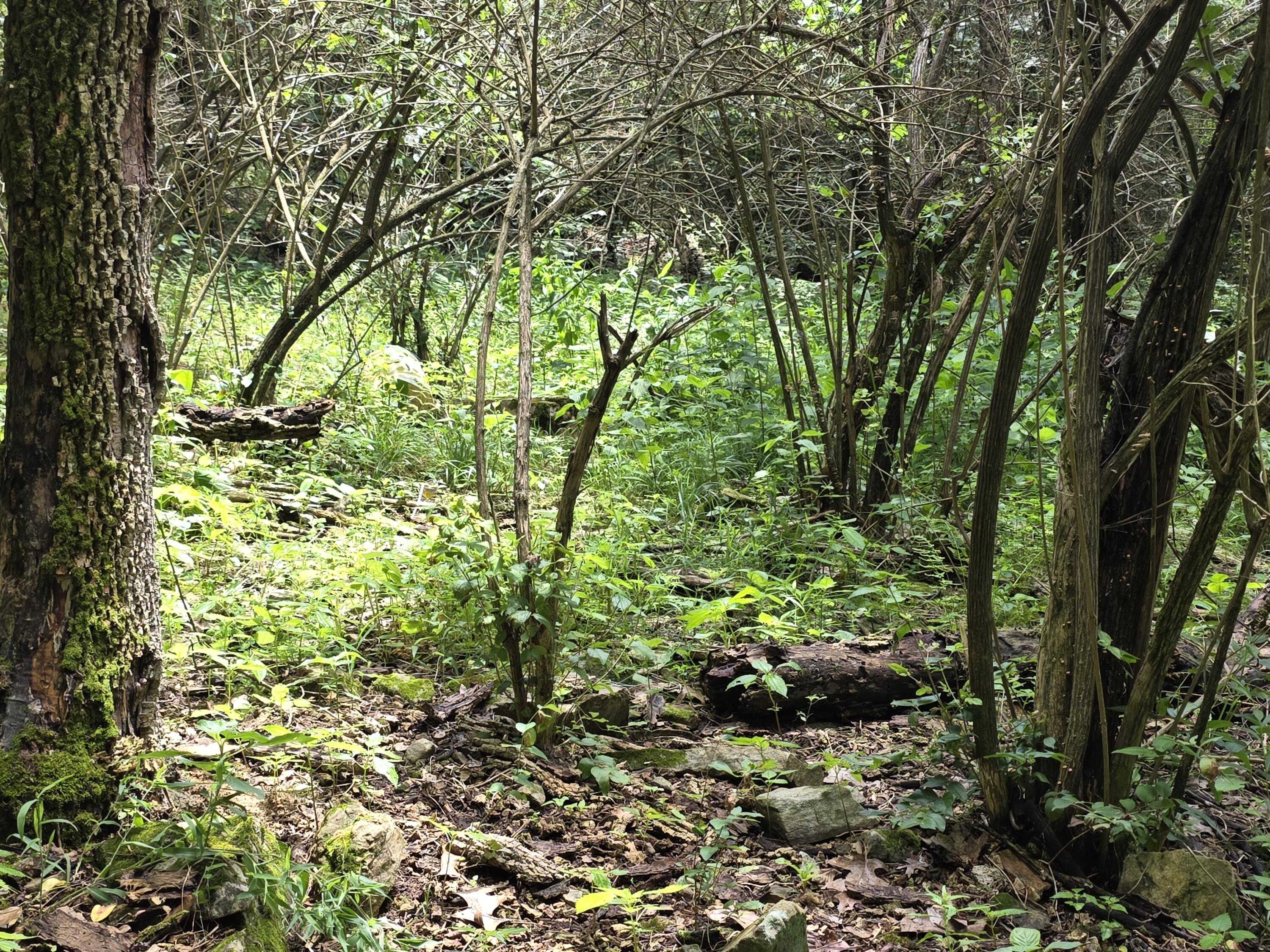 main property photo 36