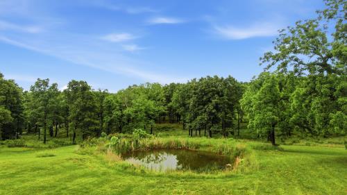 main property photo 43