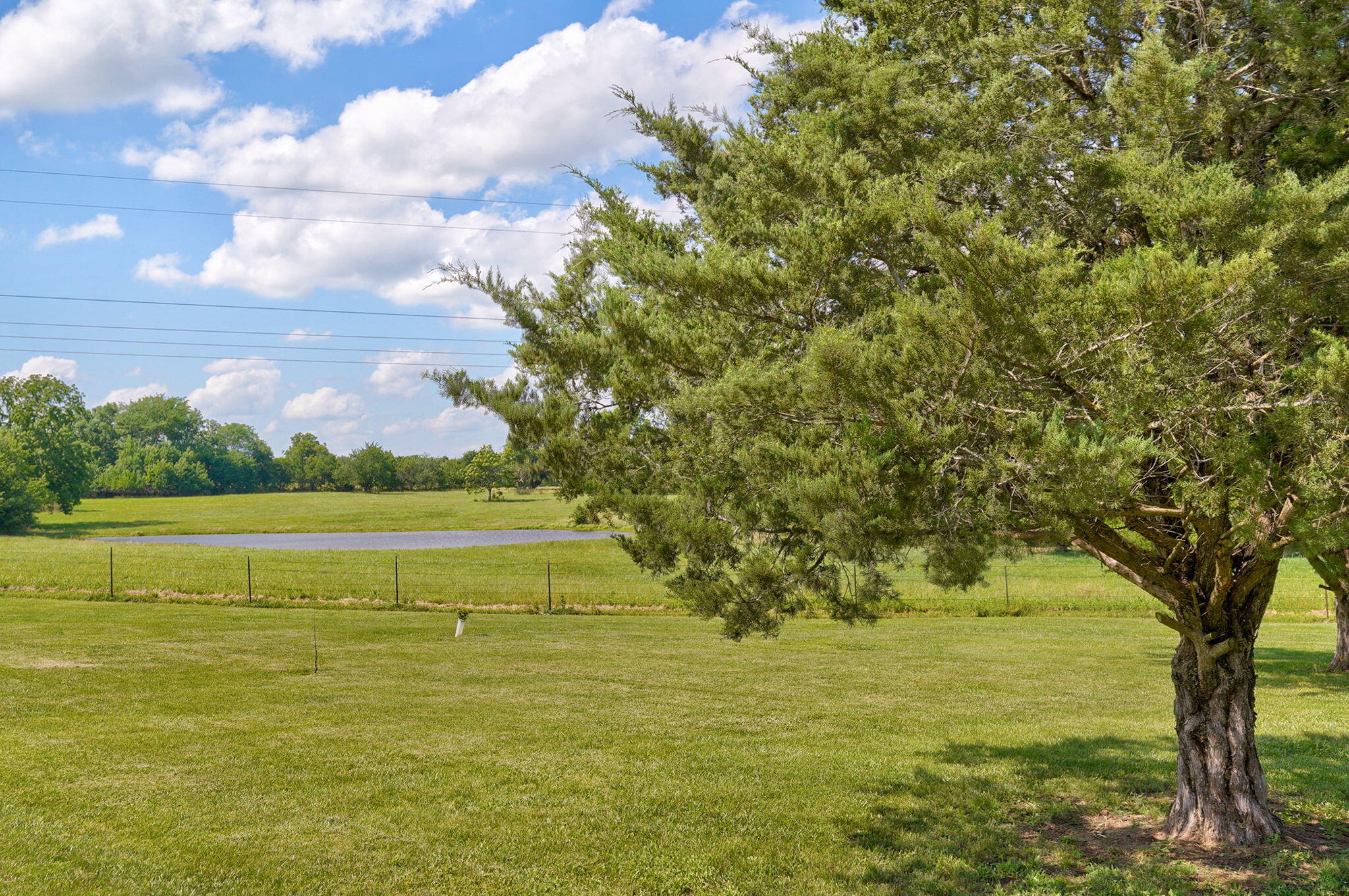 main property photo 50