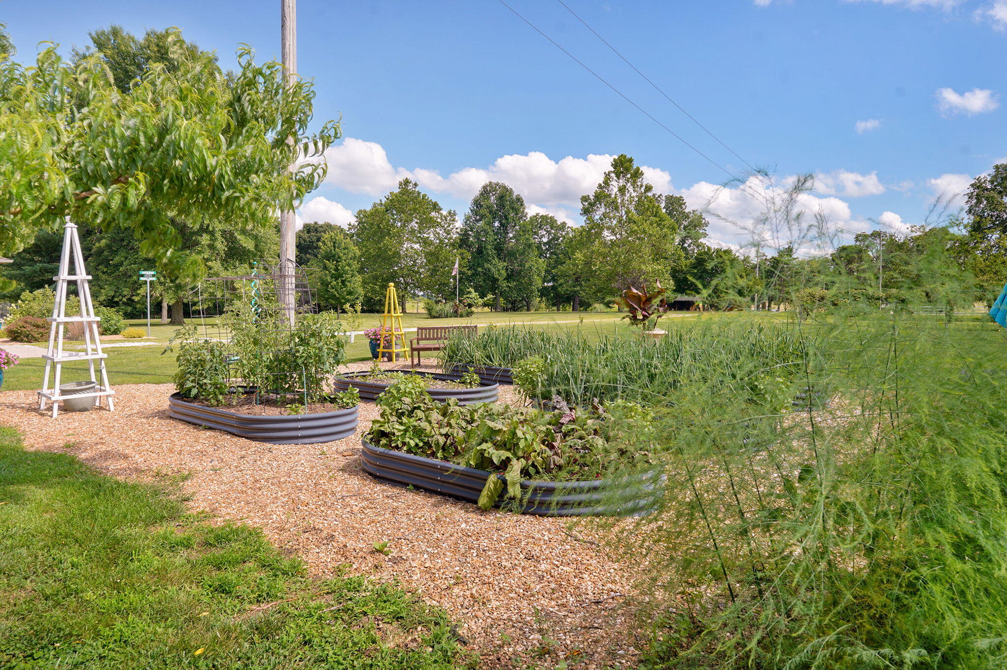 main property photo 61