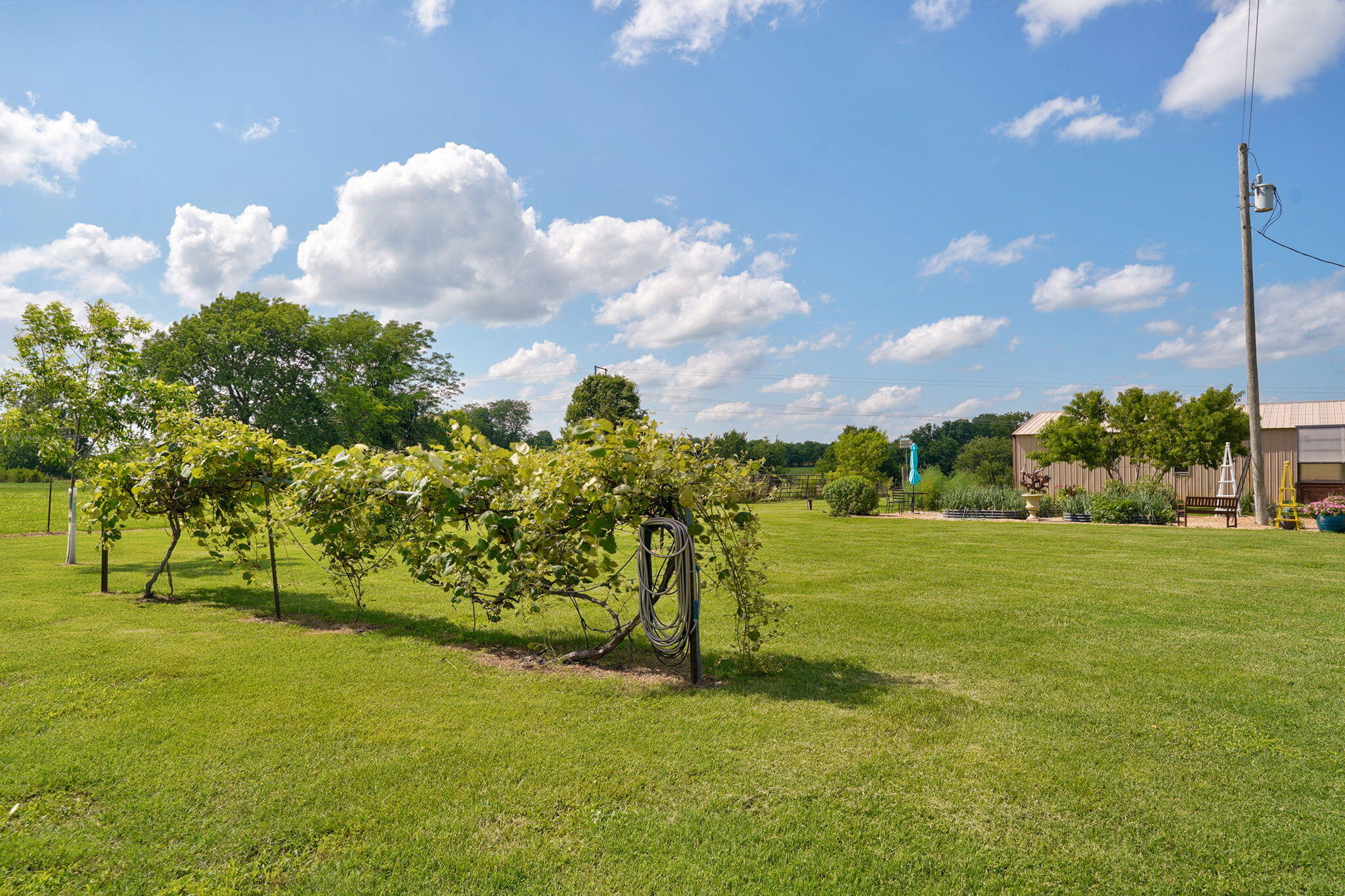 main property photo 64
