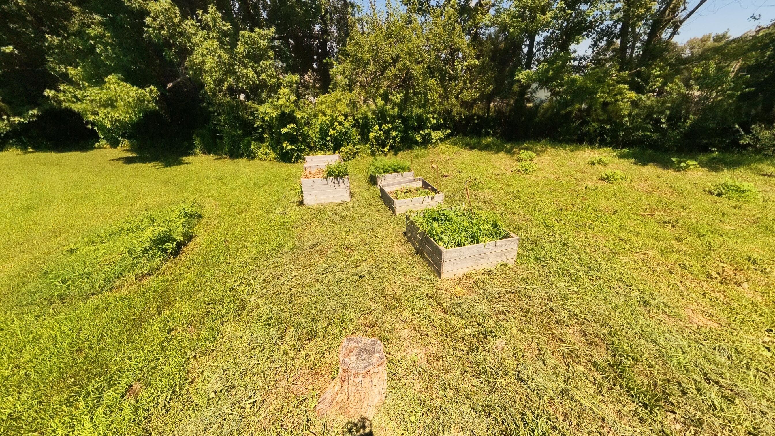 main property photo 52