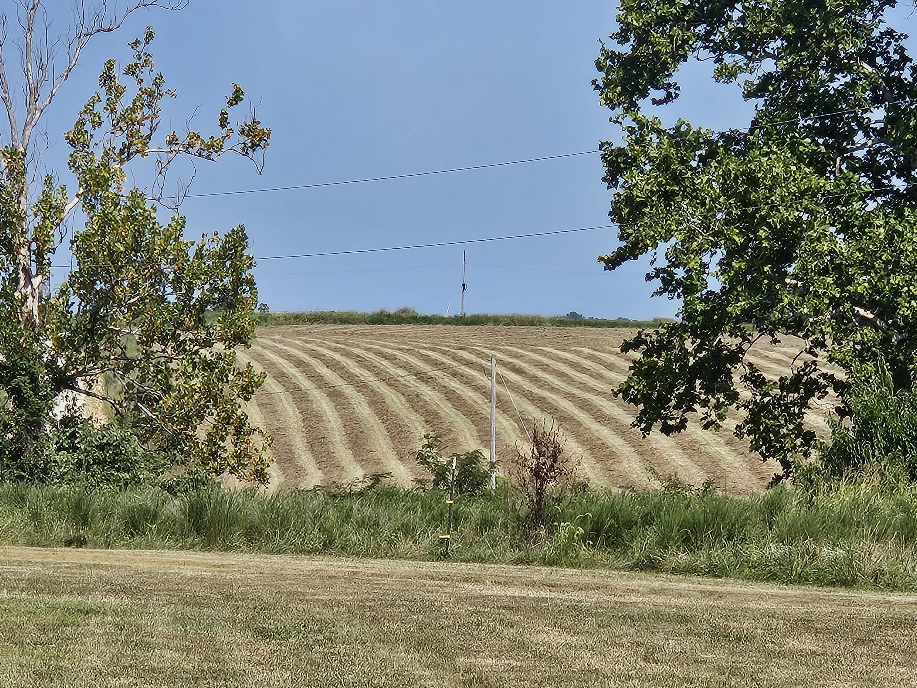 main property photo 43