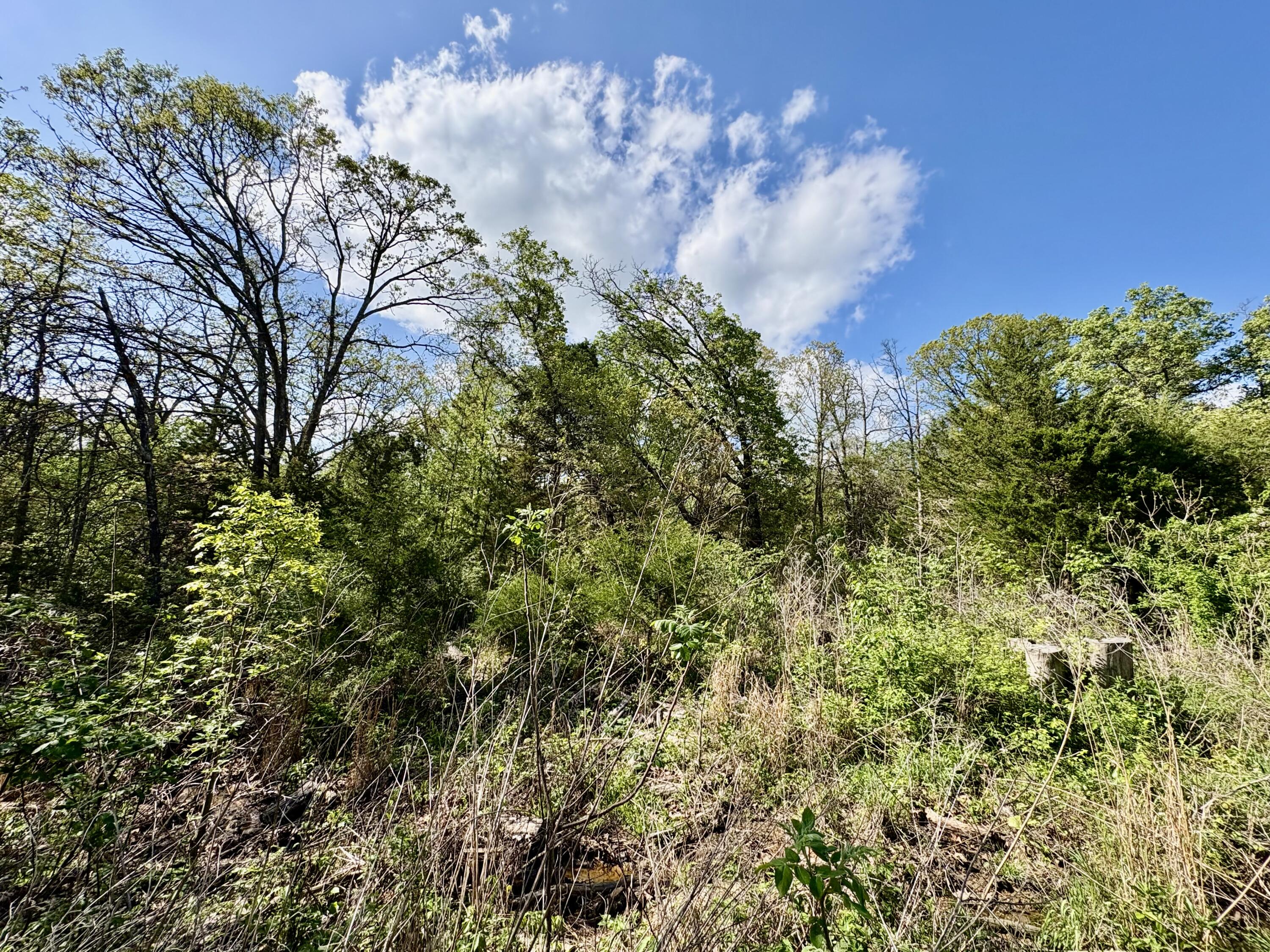 main property photo 53