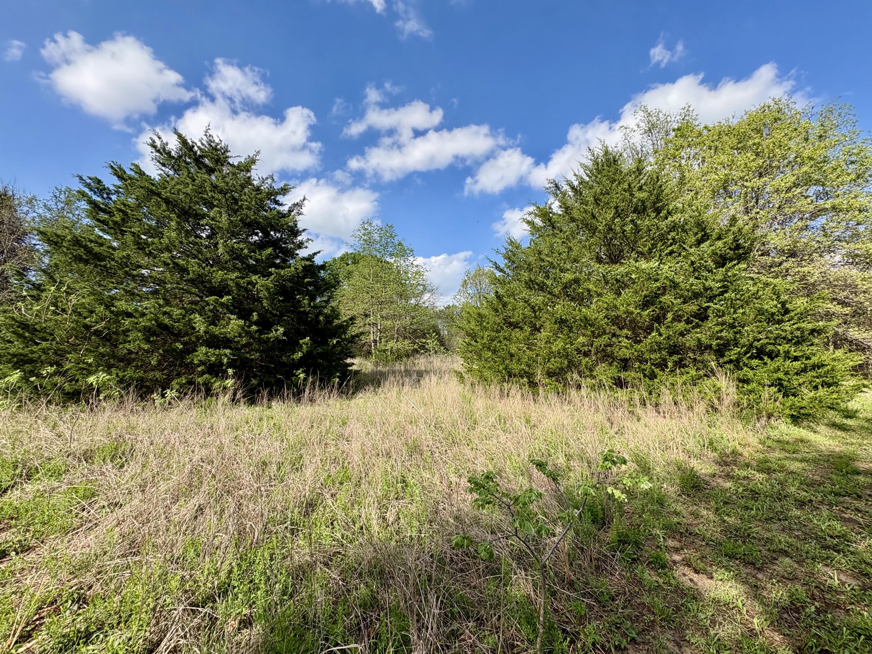 main property photo 69