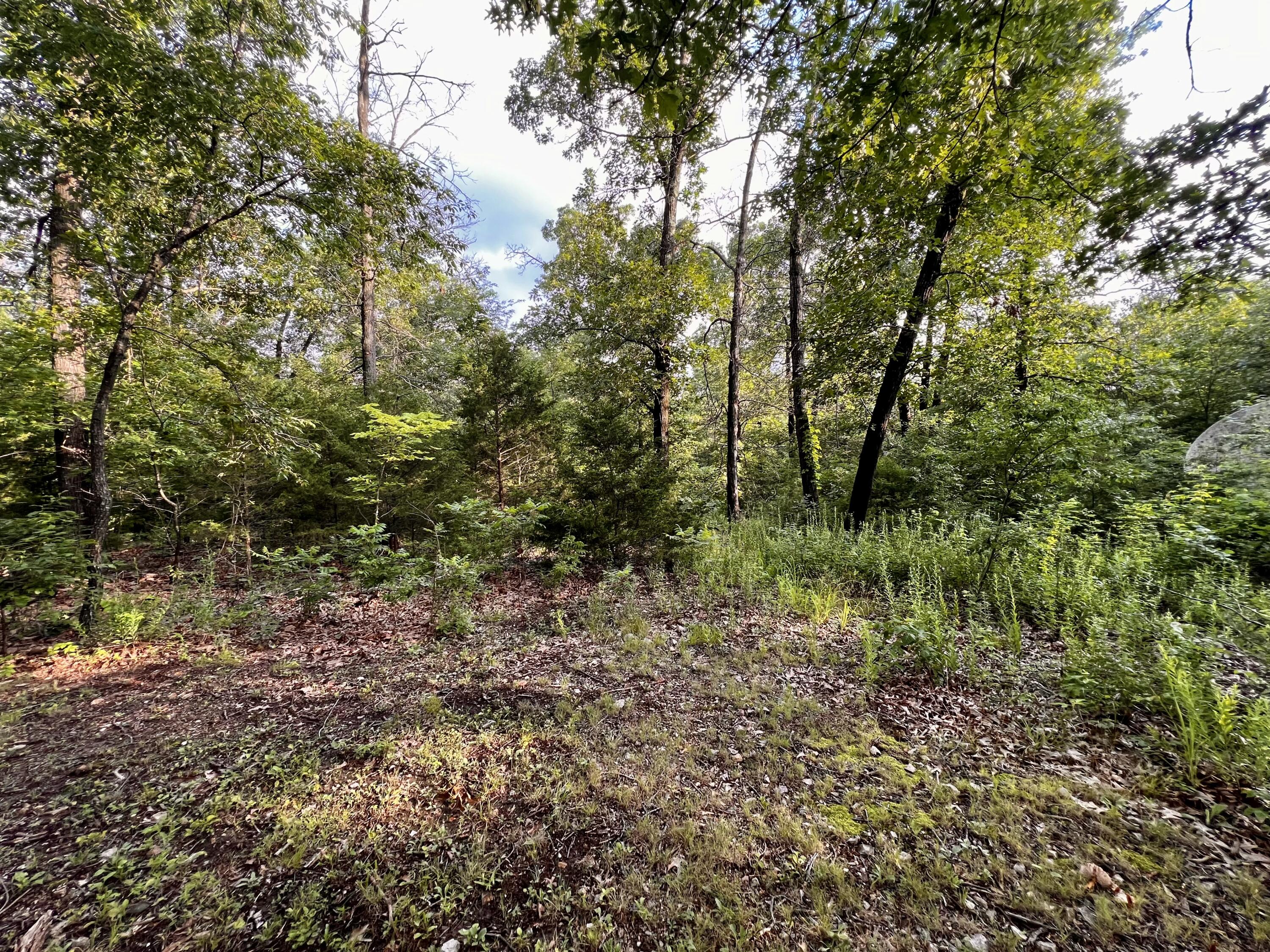 main property photo 10