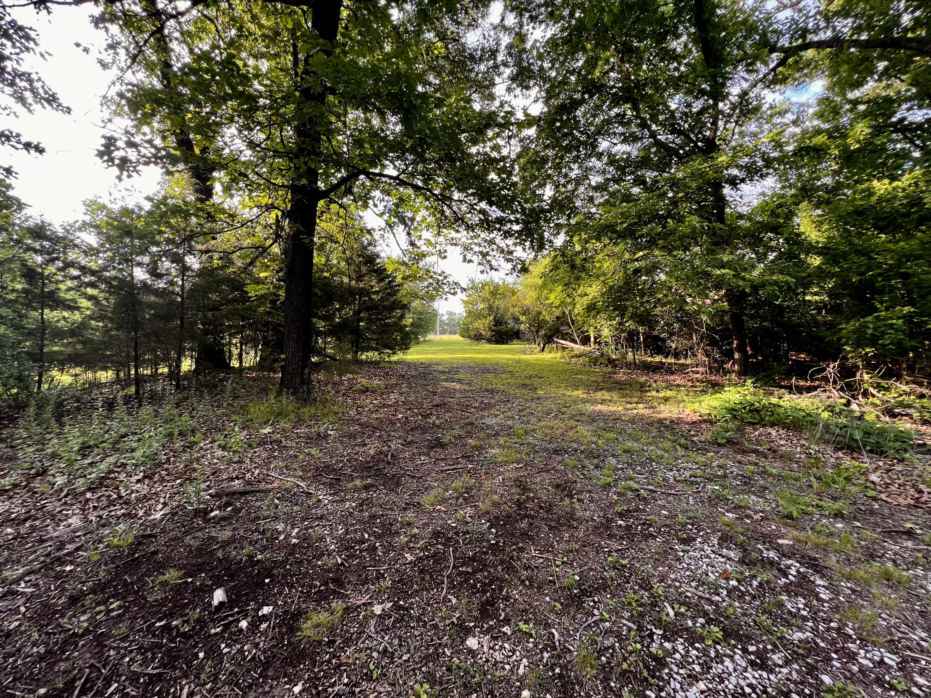 main property photo 11