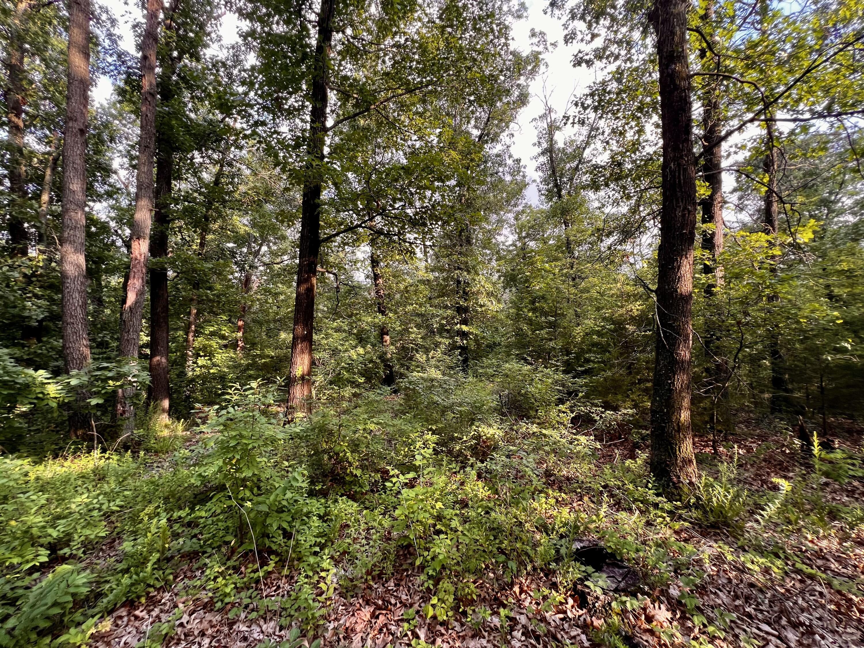 main property photo 12